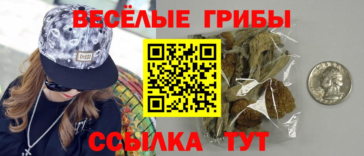 где купить наркотик  Галлюциногенные грибы Cubensis  Вход с VPN  Галлюциногенные грибы Magic Shrooms  Сочи 